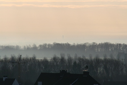 DePanne (8)